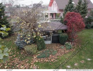 Photo Textures of Background Garden